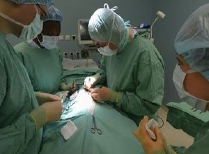 Порошенко подписал закон о трансплантации органов