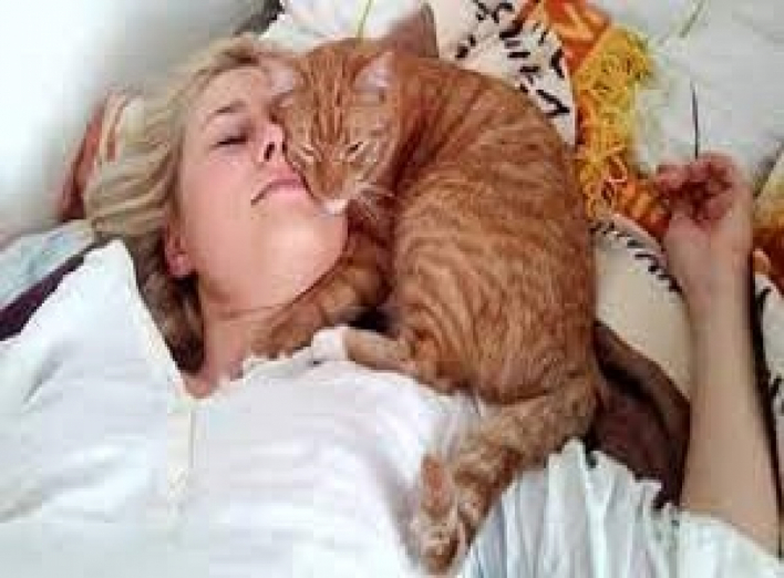 Почему котейки спят на хозяевах?