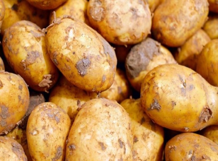 Этой осенью, зимой картофель может стать дефицитным продуктом