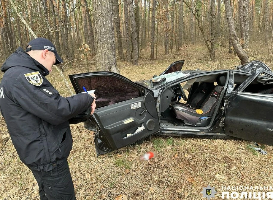 На Чернігівщині загинуло двоє людей через падіння дерева на автомобіль