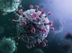 На Чернігівщині виявлено перший випадок нового штаму коронавірусу «Дженні»