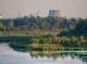 Дивовижний світ копитних: Дивіться хто потрапив на фото Чорнобильського заповідника цього разу